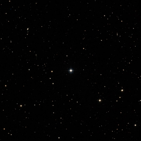 Image of Násti