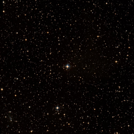Image of Tapecue