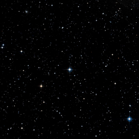 Image of Nosaxa