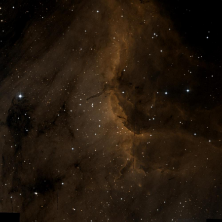 Image of the Pelican Nebula