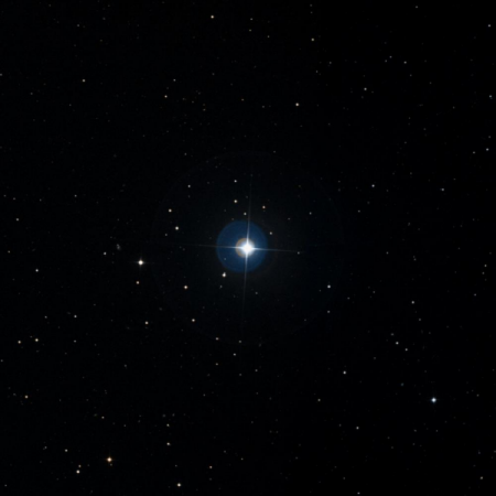 Image of TYC-3842-1309-1