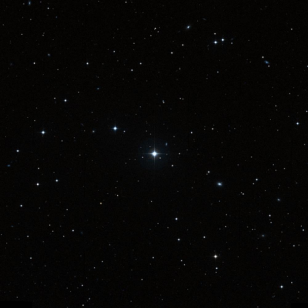 Image of Illyrian