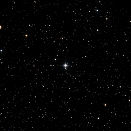Image of Buna