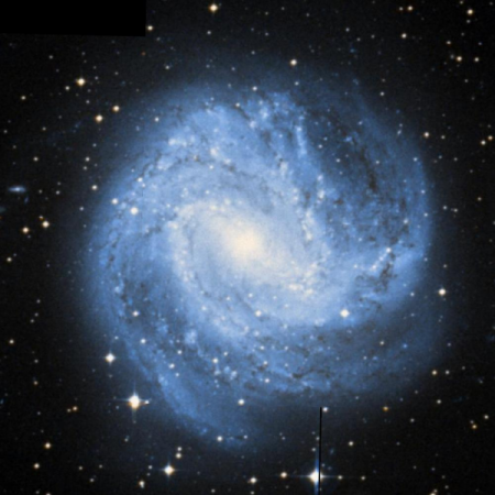 Image of the Southern Pinwheel Galaxy