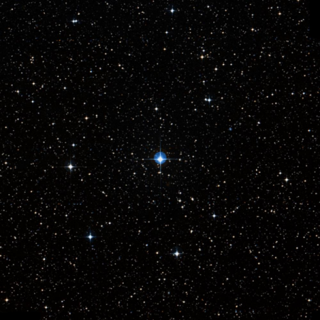 Image of Dofida