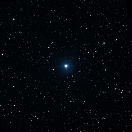 Image of HIP-1296