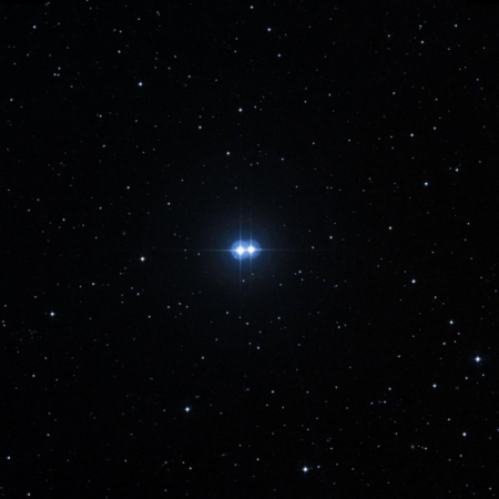 Image of 30-Ari
