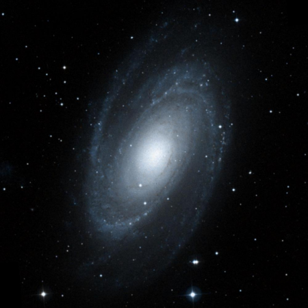Image of M81