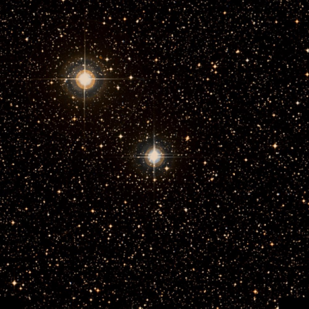 Image of PV-Pup