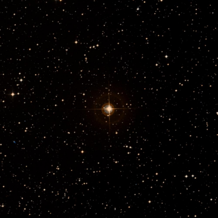 Image of S-Lep