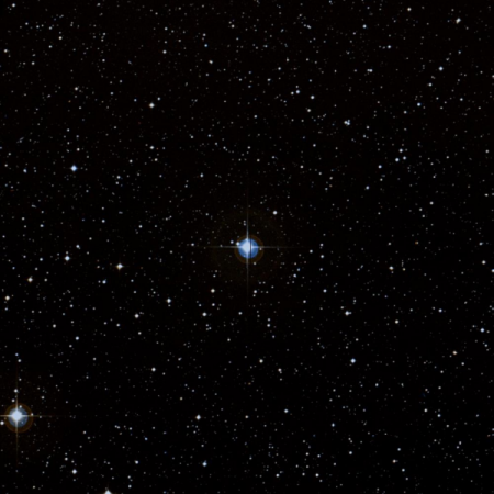 Image of Timir