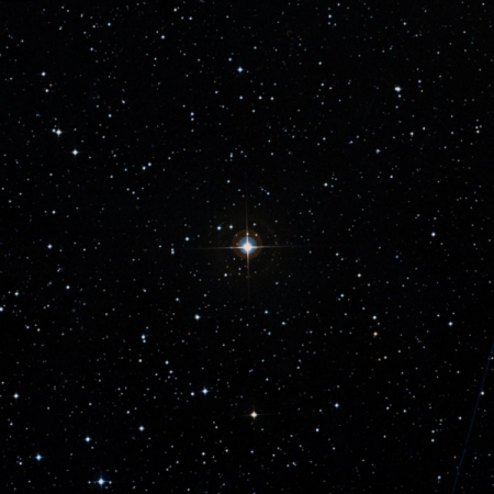 Image of HIP-36982