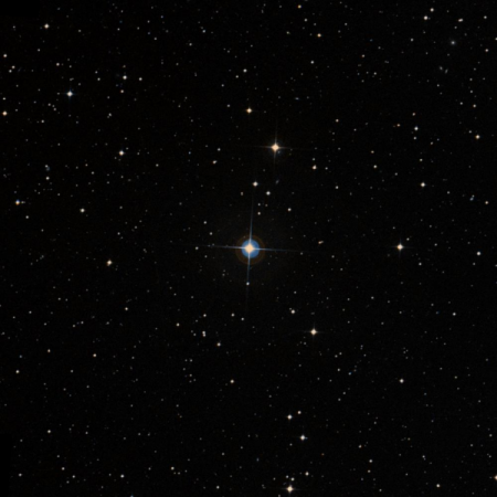 Image of HIP-1342