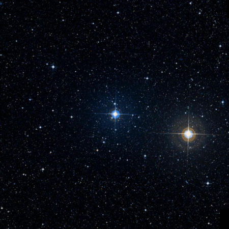 Image of Bubup