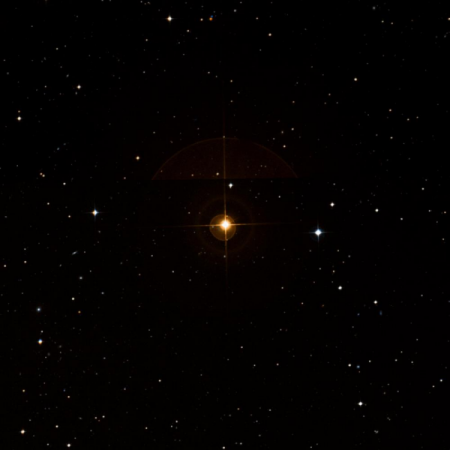 Image of R-Scl