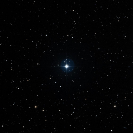 Image of HIP-40293
