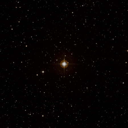 Image of 30-Lib