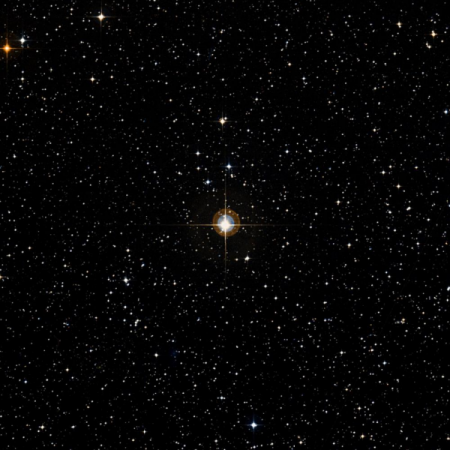 Image of HIP-41306