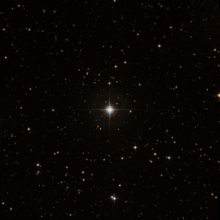 Image of HIP-50013