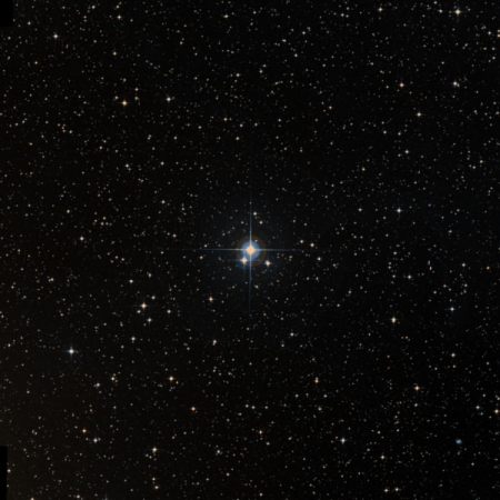 Image of HIP-40655