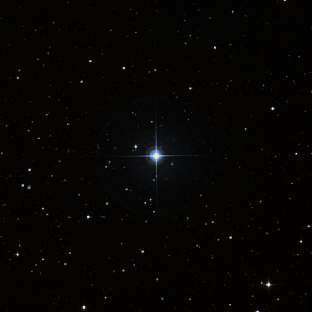 Image of HIP-1331