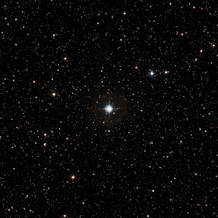 Image of Chechia
