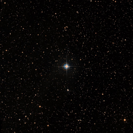 Image of V505-Sgr