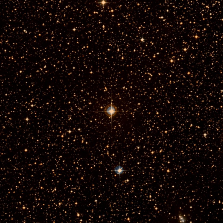 Image of HIP-36986