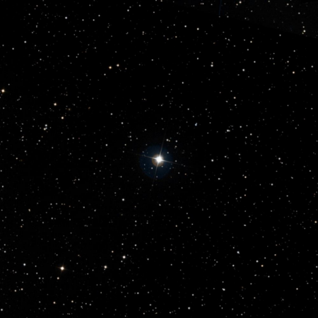 Image of HIP-3132