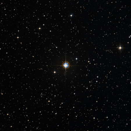 Image of HIP-31603