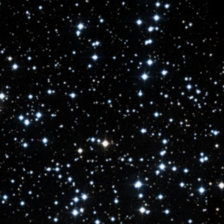 Image of the Starfish Cluster