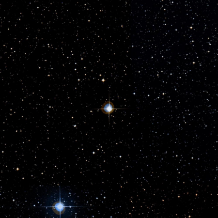 Image of &xi;¹-Cap