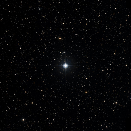 Image of HIP-101966