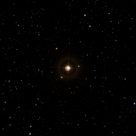 Image of HIP-1208