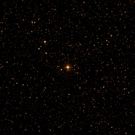 Image of Gumala