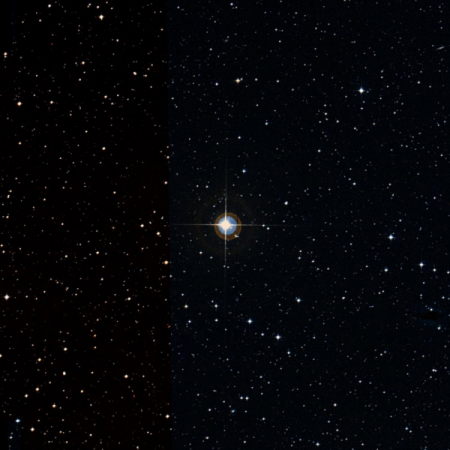 Image of HIP-77689