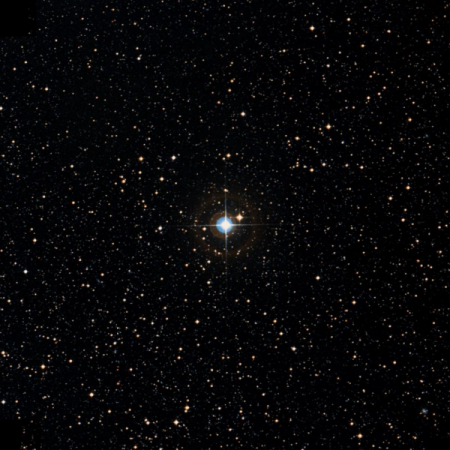 Image of HIP-81632