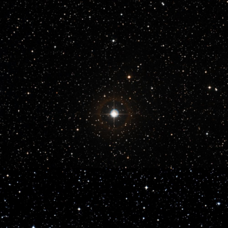 Image of HIP-100969