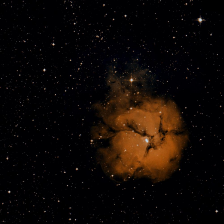Image of the Trifid Nebula