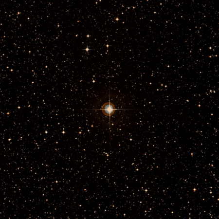 Image of HIP-31205