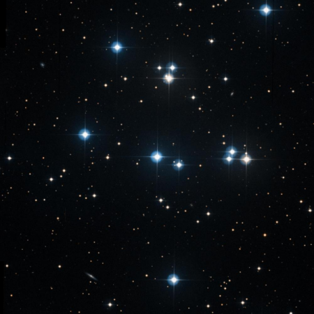 Image of Meleph