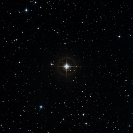 Image of HIP-101965