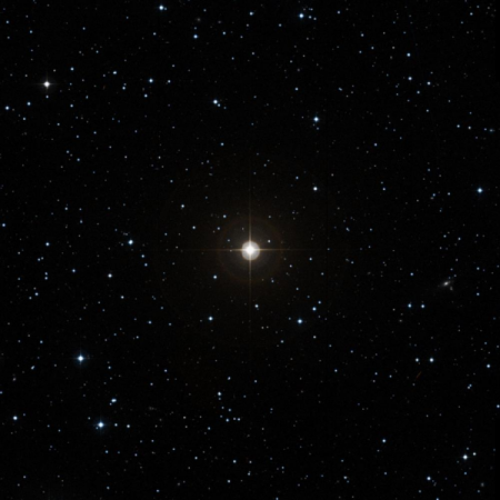 Image of 21-Cnc