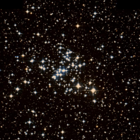 Image of the Butterfly Cluster