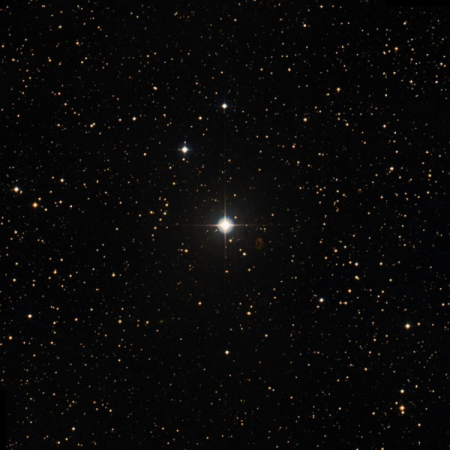 Image of HIP-24820