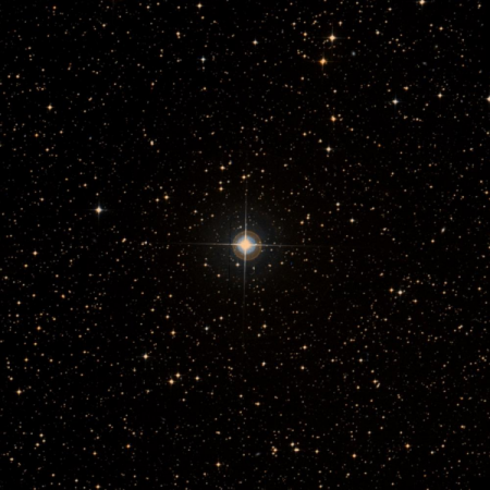 Image of HIP-55528
