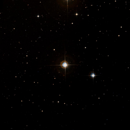 Image of HIP-1099