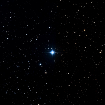 Image of HIP-1302