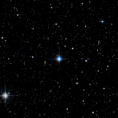 Image of V339-Pup