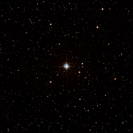 Image of HIP-101608